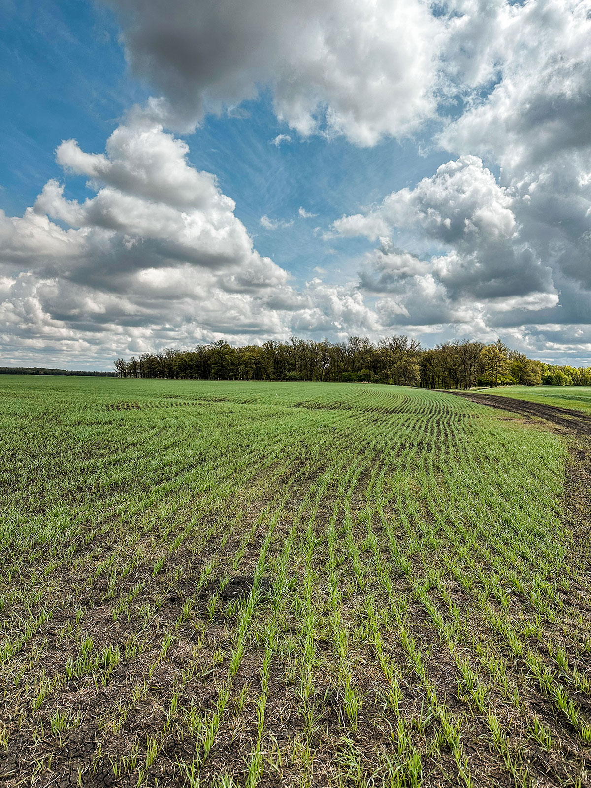 The Down Home Farm Starbuck, Manitoba Canada