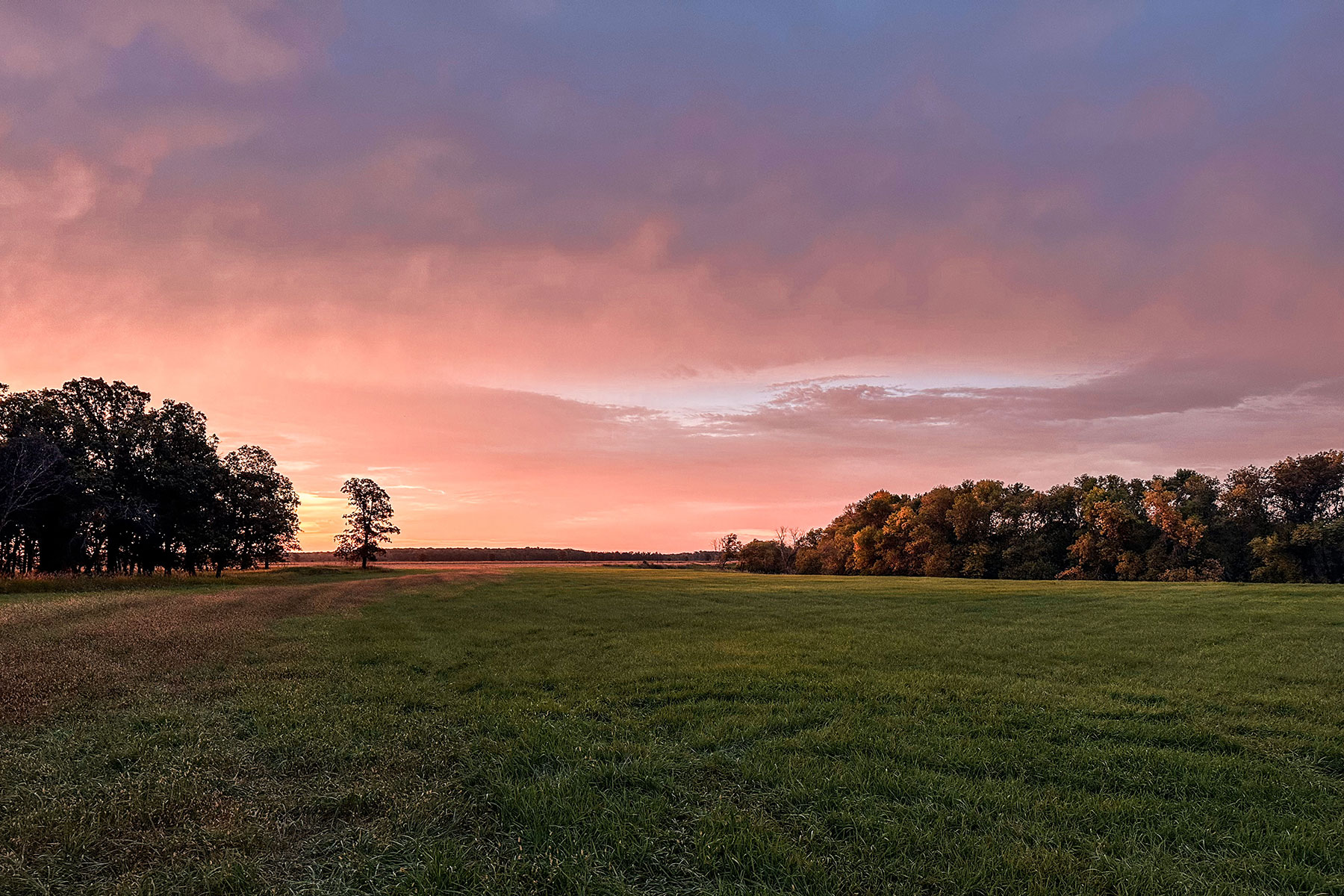 The Down Home Farm Sunrise September 16, 2024